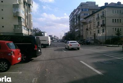 Spațiu comercial, de 23 mp, în Frații Golești - 5