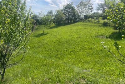 Teren de 5000 mp, în Schiulești - 7