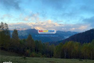 Spațiu comercial, în Drumul Carului