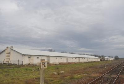 Spațiu industrial, în Ceamurlia de Jos - 5