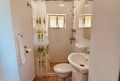 Casă cu 2 camere cu Teren 990 Mp în Central - 7
