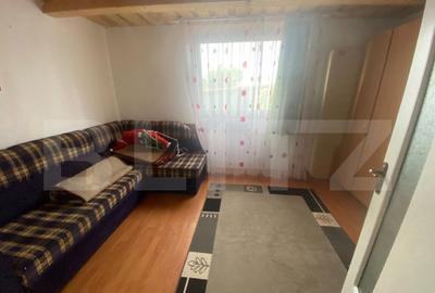 Teren extravilan 10 ari cu Cabana de 45 mp - 5