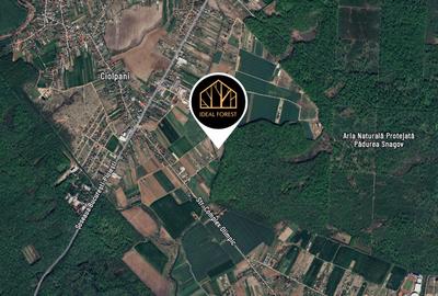 Teren Construcții intravilan de 459 mp, în Snagov - 8