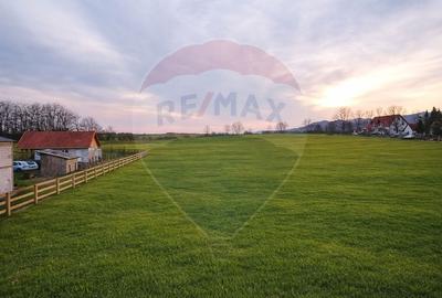 Teren Construcții extravilan de 4000 mp, în Vințu de Jos - 4