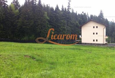 Teren Construcții intravilan de 980 mp, în Timișu de Sus - 2