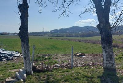 Teren de 40000 mp, în Bucșani - 2