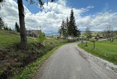 Teren Construcții extravilan de 1000 mp, în Neagra Șarului - 6