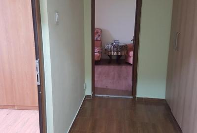 Apartament cu 2 camere decomandat, mobilat în Tineretului - 8