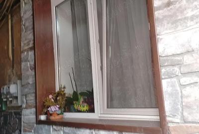 Casă cu 2 camere în Timocului-Șaguna - 5