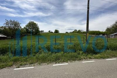 Teren de vanzare, Sat Valea Mare, Com. Ro?iori, Bacau - 8