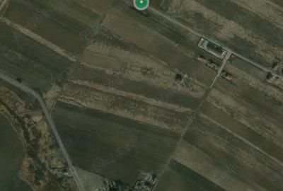 Teren de 2700 mp, în Dragomirești-Vale - 6