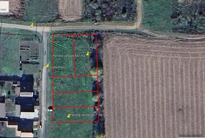Proprietar - Teren intravilan Ghiroda str. Muntenia 661 mp - 1