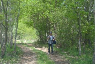 Spațiu comercial, în Nădăștia - 9