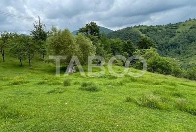 Teren intravilan de vanzare in Martinia de sus - 4