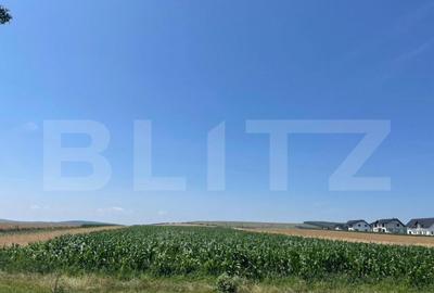 Teren Intravilan, 10300 mp, zona Mitocului - 2