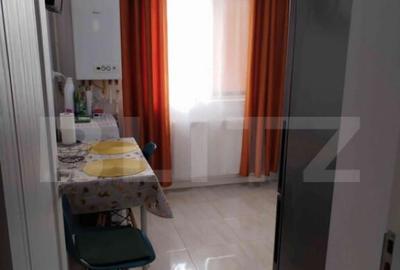 Apartament cu 2 camere decomandat în Lunca Cetățuii - 8
