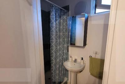 CABANA LA 3 INSULE CU IESIRE LA MURES LA PRET DE GARSONIER - 3