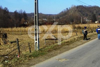Teren Construcții intravilan de 21000 mp, în Bogați - 7