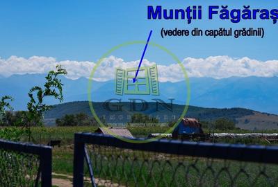 Casa cu 6 camere suprafata 220mp si teren 1700mp spre vanzare in Rosia,SB - 19