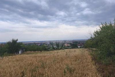 Teren de 10000 mp, în Păulești - 12