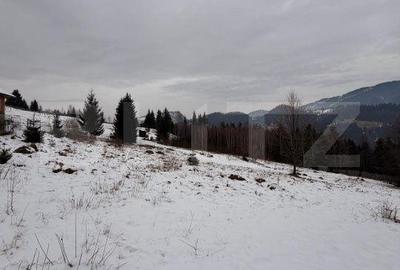 Spațiu comercial, în Fundu Moldovei