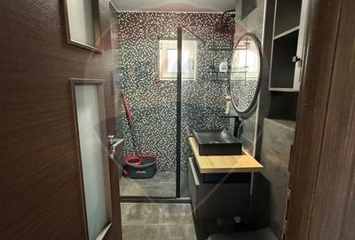 Apartament cu 3 camere decomandat, mobilat în Calea Severinului - 3