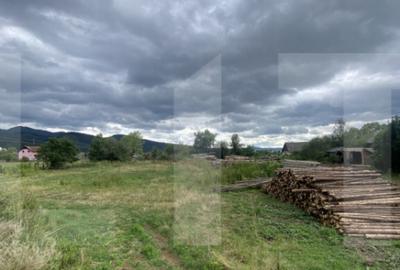 Proprietate industriala multifunc?ionala cu poten?ial fo - 1