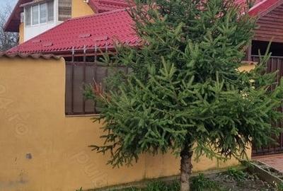 Casă cu 5 camere în Central - 2