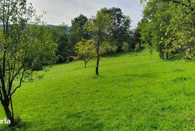 Teren de 2200 mp, în Sălciua - 3