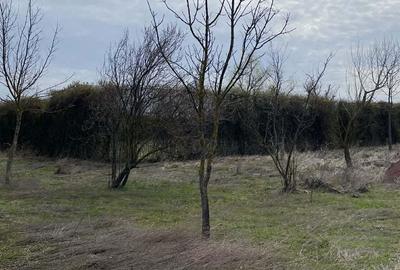 Casă cu 4 camere în Letca Nouă - 5