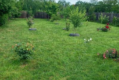 Casă cu Teren 850 Mp în Popești - 2