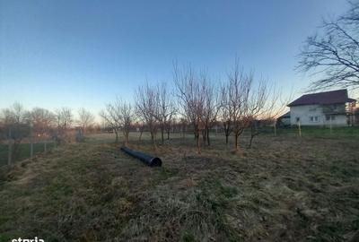 Spațiu comercial, în Merișor - 8