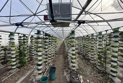 De vanzare-afacere la cheie - 7