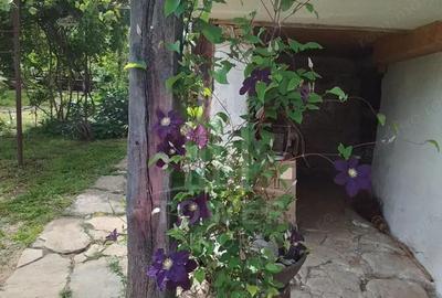 Casa Saseasca de vanzare in Somartin / Comision O % - 12