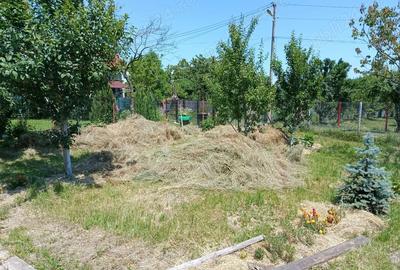 Teren (curte ingradita)de inchiriat 1200mp Cristian - 7