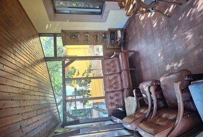 Vila de inchiriat - 7