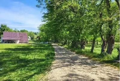 Teren extravilan arabil Tisau, ID: R2590475 - 4