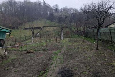 Casa cu gradina ?i livada in Nadrag - 10