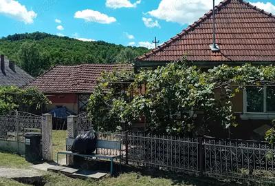 Casă cu 2 camere în Aluniș - 8