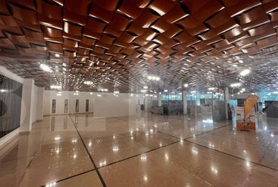 Showroom superfinisat, zona excelenta