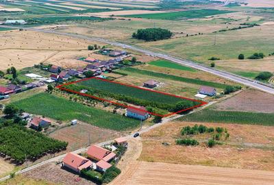 Teren Construcții intravilan de 8000 mp, în Biharia - 4