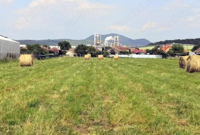 Teren de 12000 mp, în Ierbuș - 8