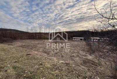 Teren de 675 mp, în Teleac - 1