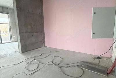 Spațiu comercial, de 244 mp, în Theodor Pallady - 3