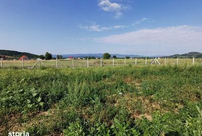 Teren de 1500 mp, în Bocicoiu Mare - 3