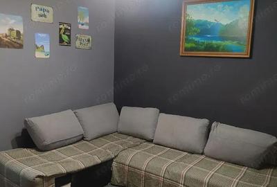 Ofer spre inchiriere un Apartament cu 2 camere - 1