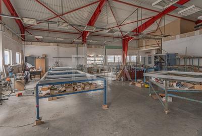 Doua hale / spatiu industrial + birouri 5000 mp / Sector 4 - 7