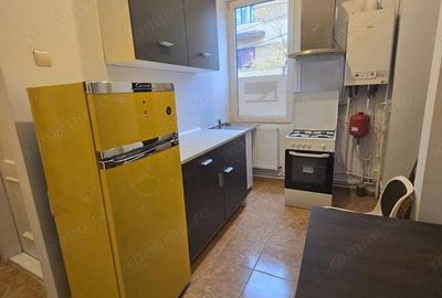 Apartament proaspat renovat 1 camera, 10mp curte, Balcescu - 4