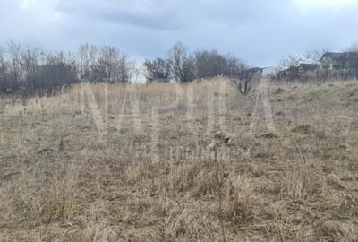 Teren intravilan pentru constructii de vanzare in Buna Ziua, Cluj Napoca - 4