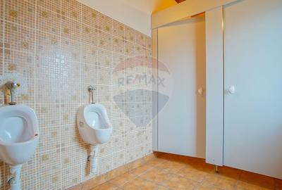 Hotel/Pensiune, de 2,950 mp, în Pănicel - 55